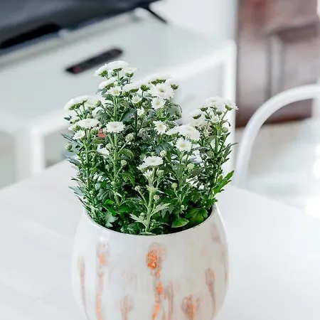 Light Filled Typical At Alfama, By Timecooler Lissabon