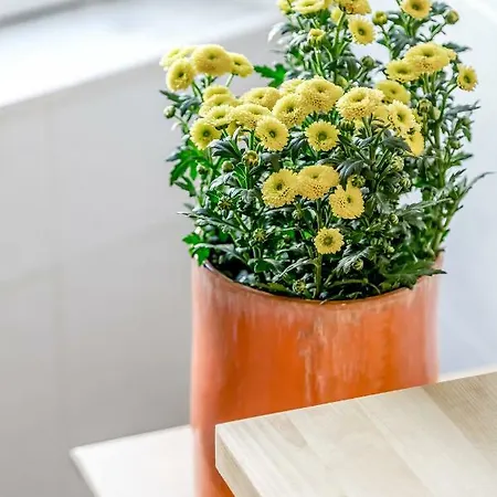 Light Filled Typical At Alfama, By Timecooler * Lissabon